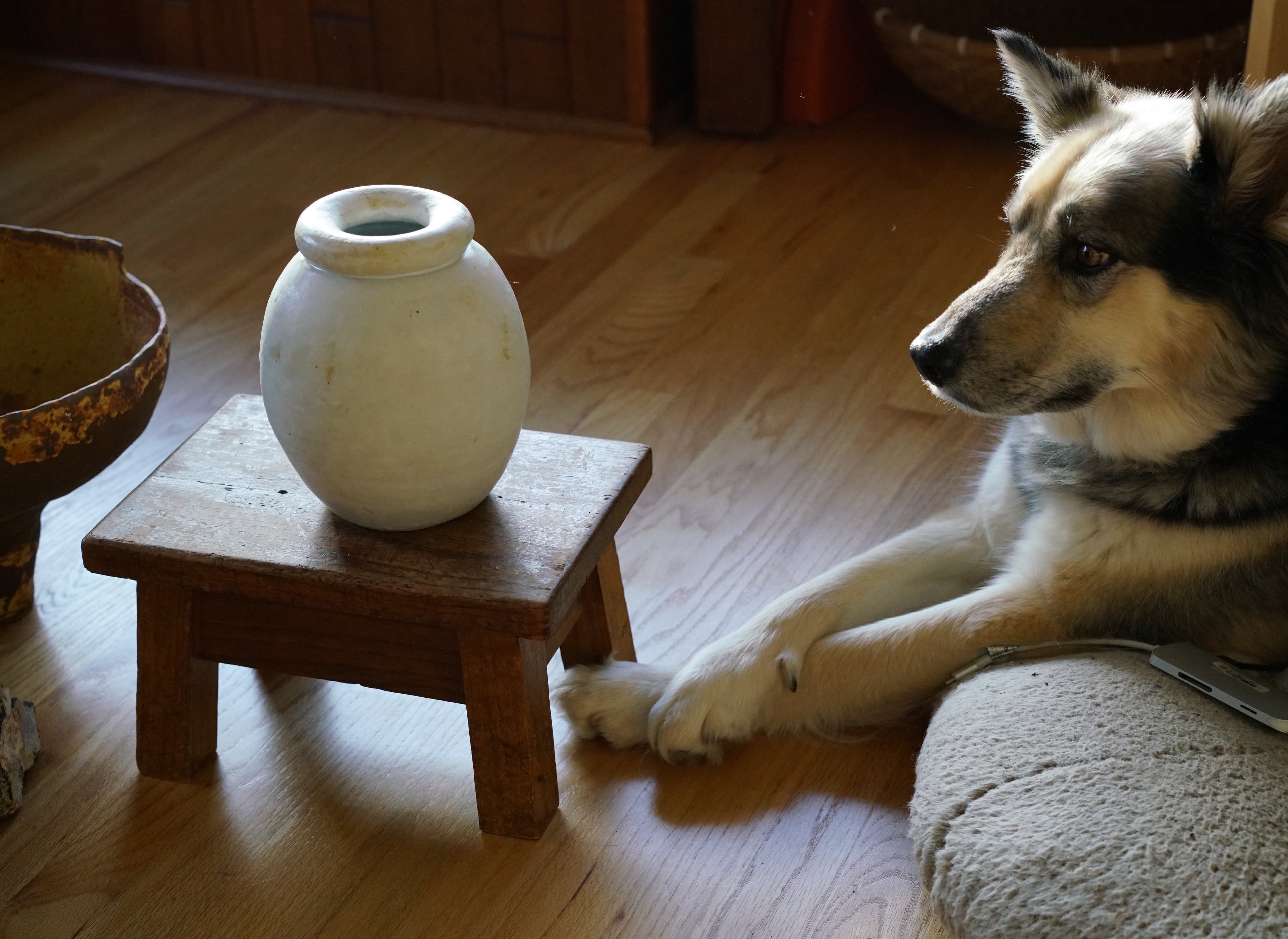ceramic image
